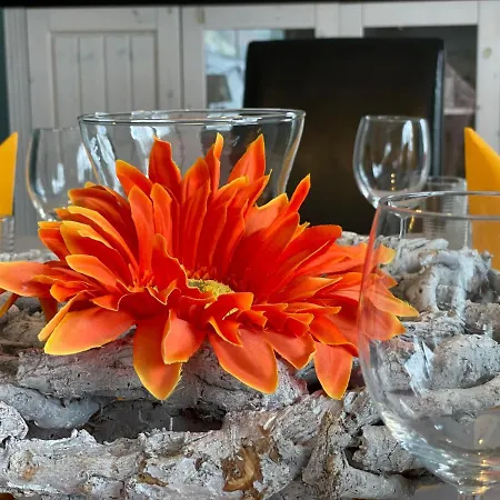 Sweethome - Eingezaeunter Garten - 3 Hunde Willkommen - Ruhige Sackgasse *