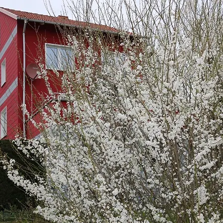 Sweethome - Eingezaeunter Garten - 3 Hunde Willkommen - Ruhige Sackgasse * باد ساخسا